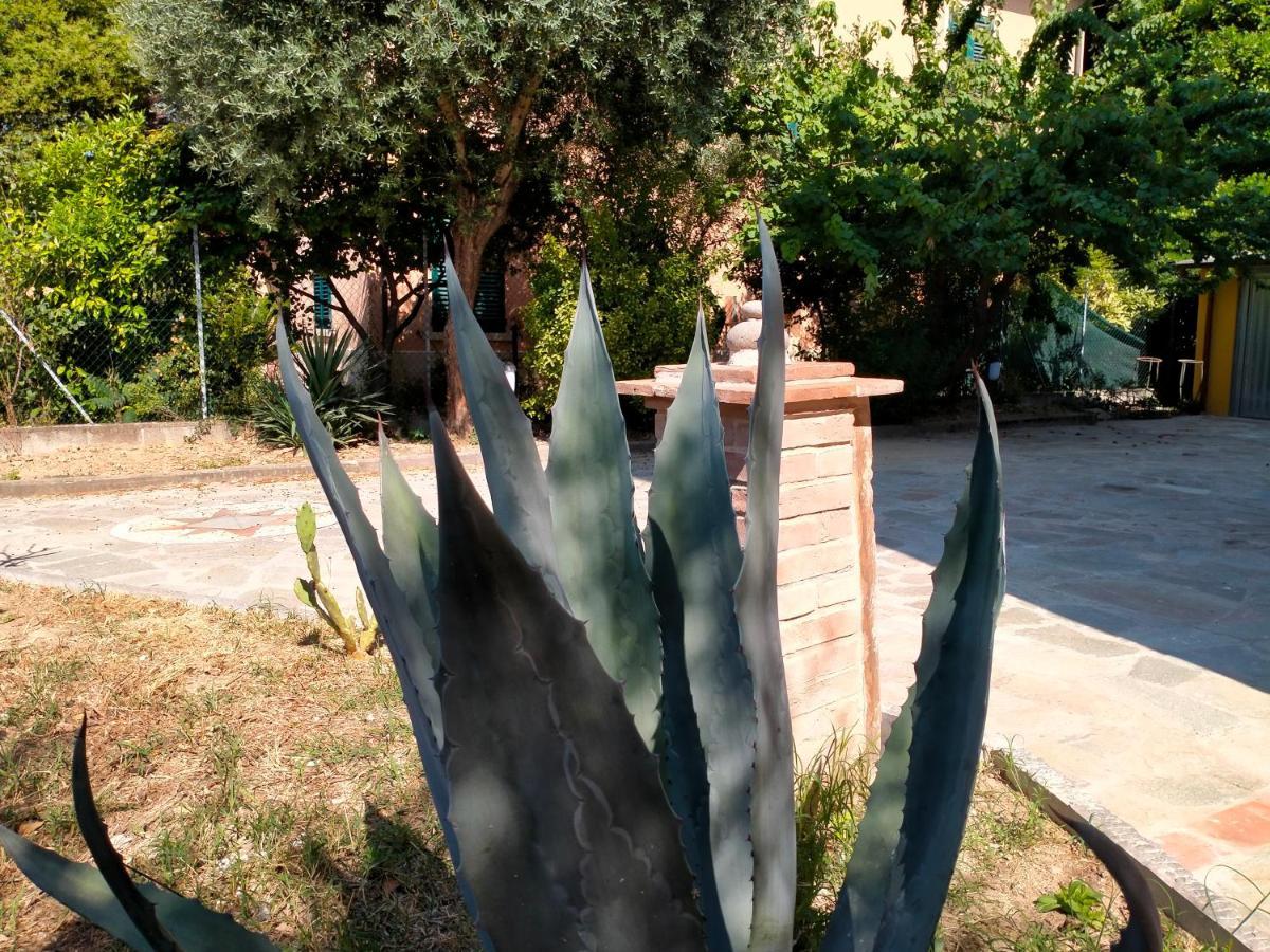 Il Cantuccio Lucca Eksteriør bilde